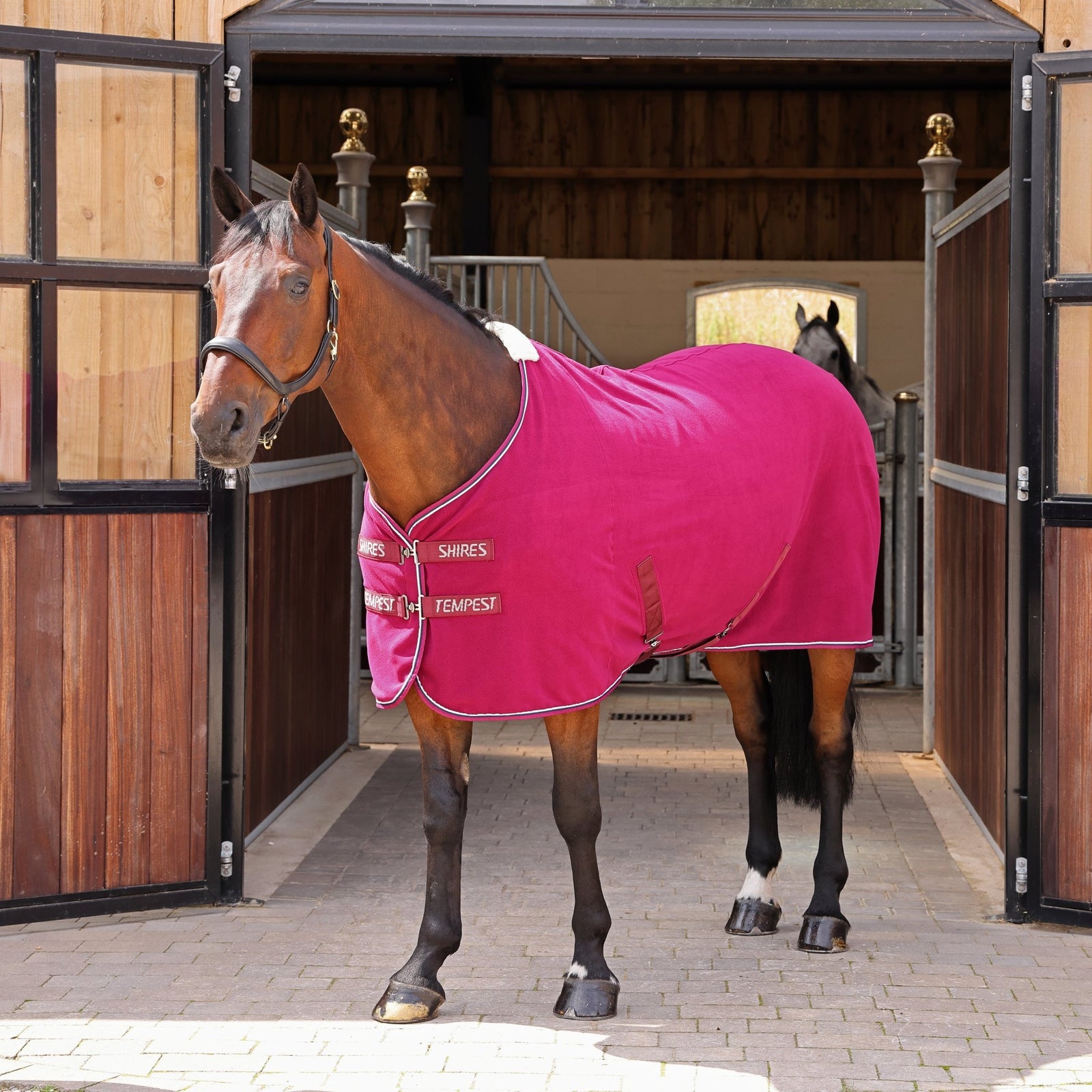Tempest Original Fleece Rug - Nags Essentials