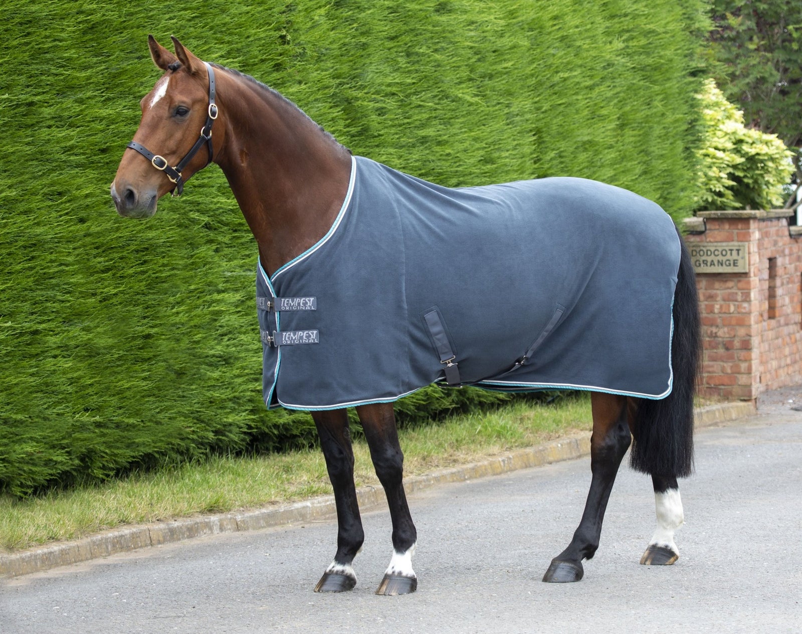 Tempest Original Fleece Rug - Nags Essentials