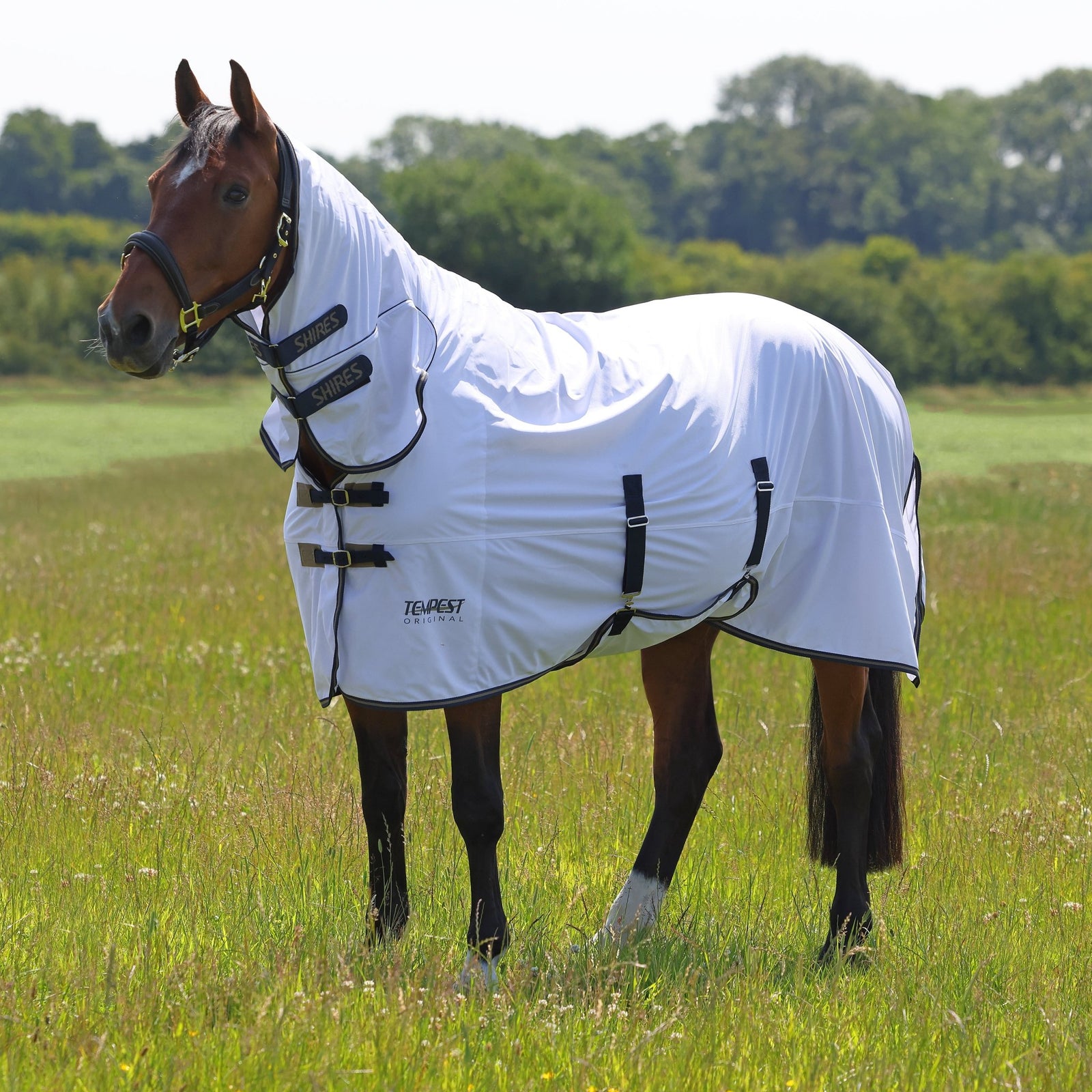 Tempest Original Fly Combo Rug - Nags Essentials