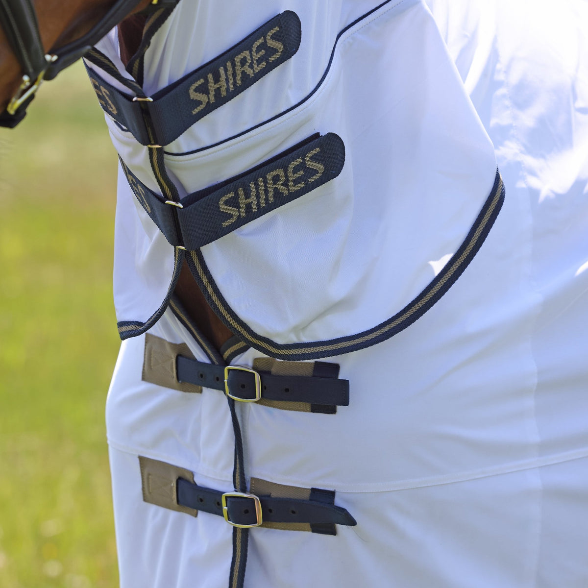 Tempest Original Fly Combo Rug - Nags Essentials