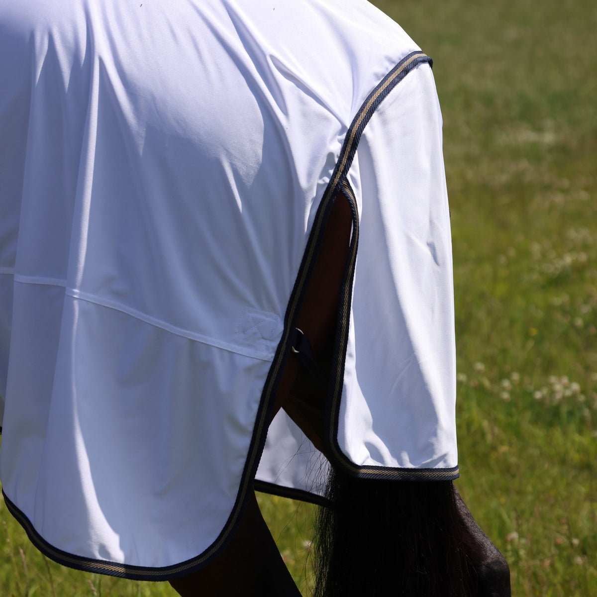 Tempest Original Fly Combo Rug - Nags Essentials