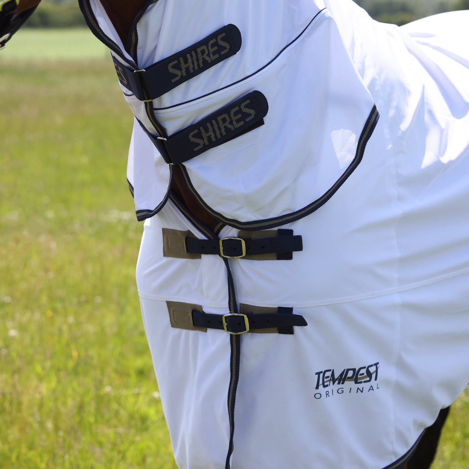 Tempest Original Fly Combo Rug - Nags Essentials