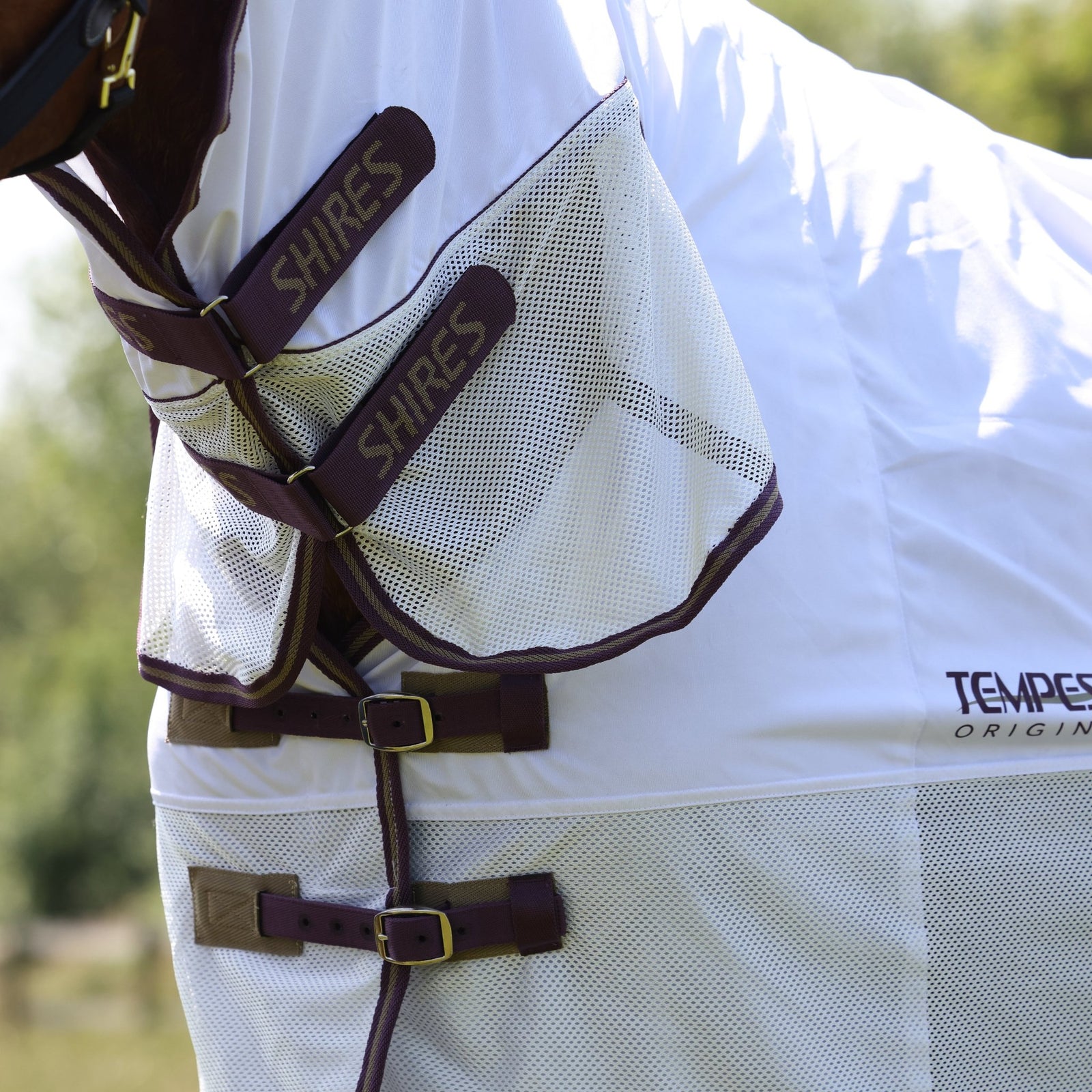 Tempest Original Fly Mesh Combo Rug - Nags Essentials