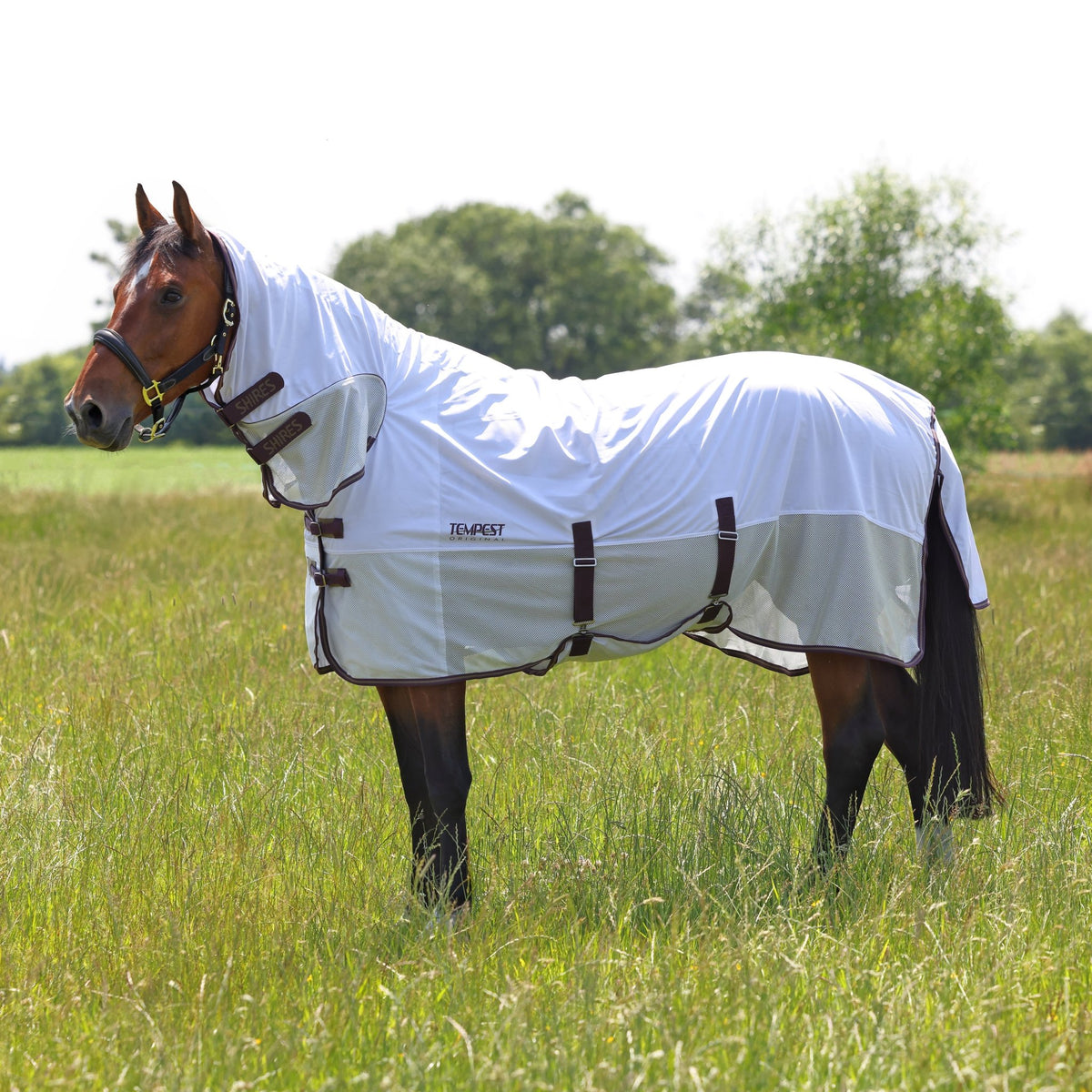 Tempest Original Fly Mesh Combo Rug - Nags Essentials