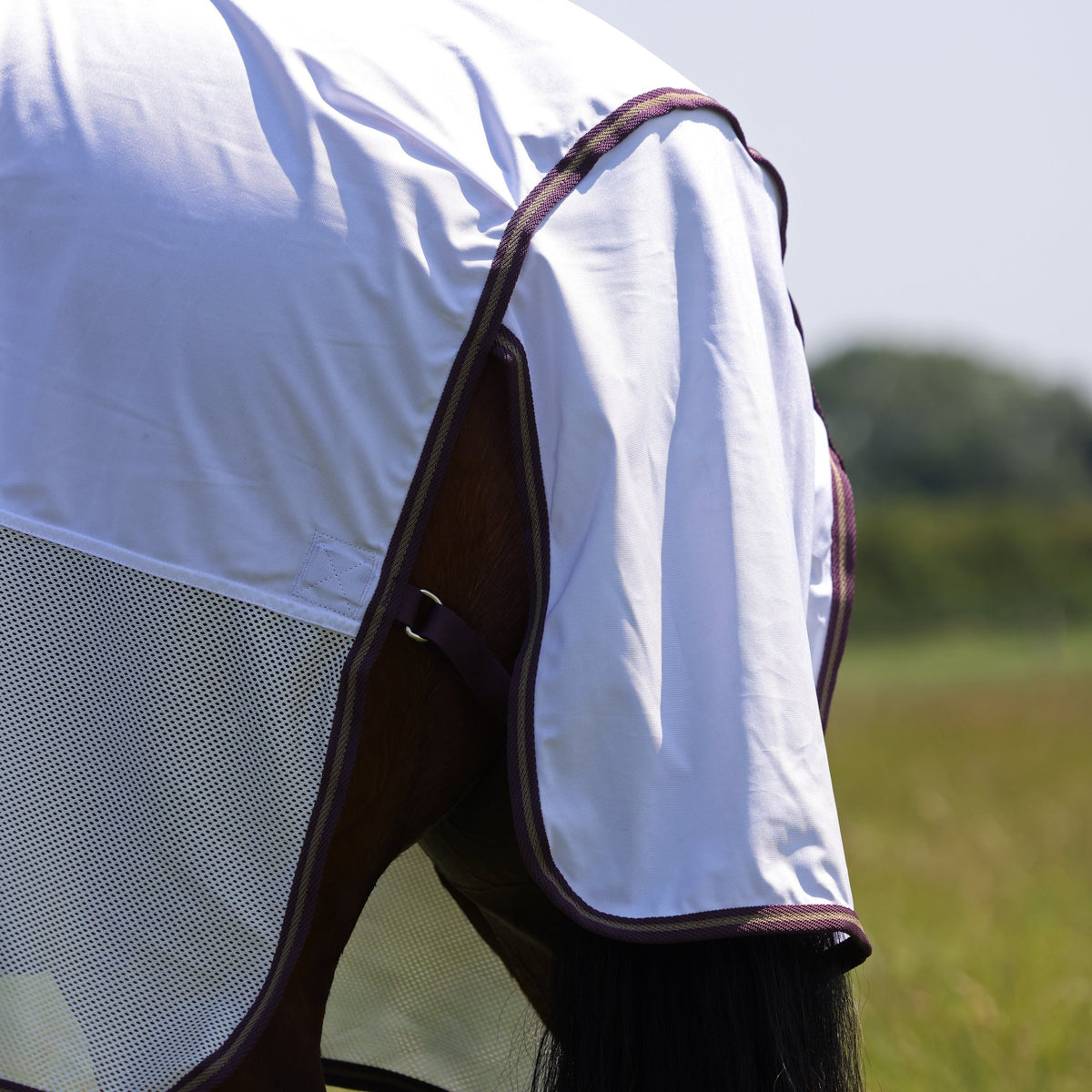 Tempest Original Fly Mesh Combo Rug - Nags Essentials