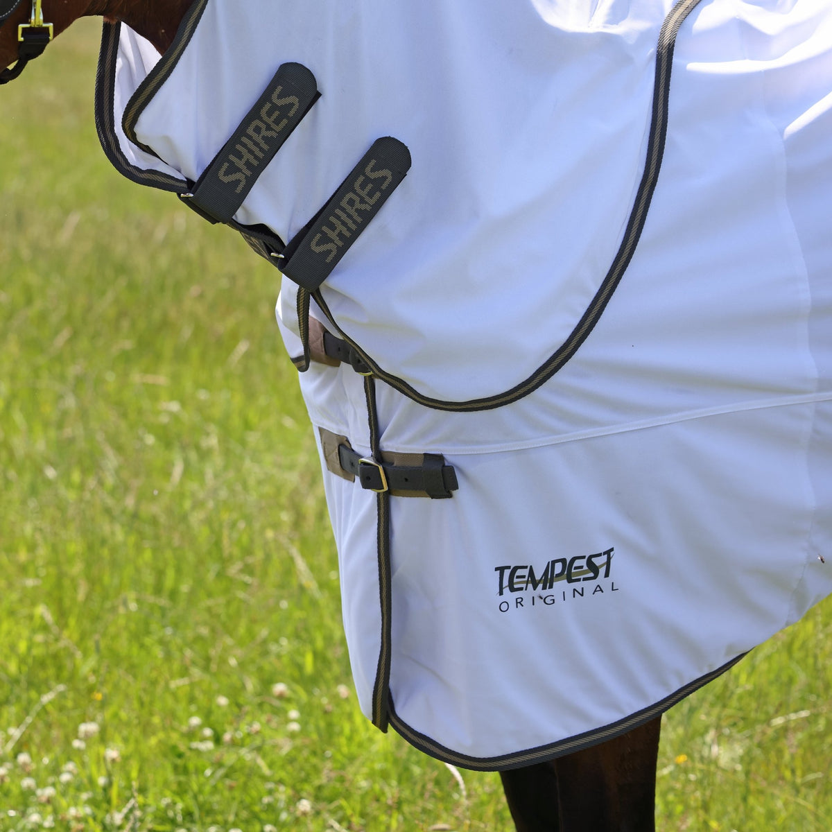 Tempest Original Fly Rug & Neck Set - Nags Essentials