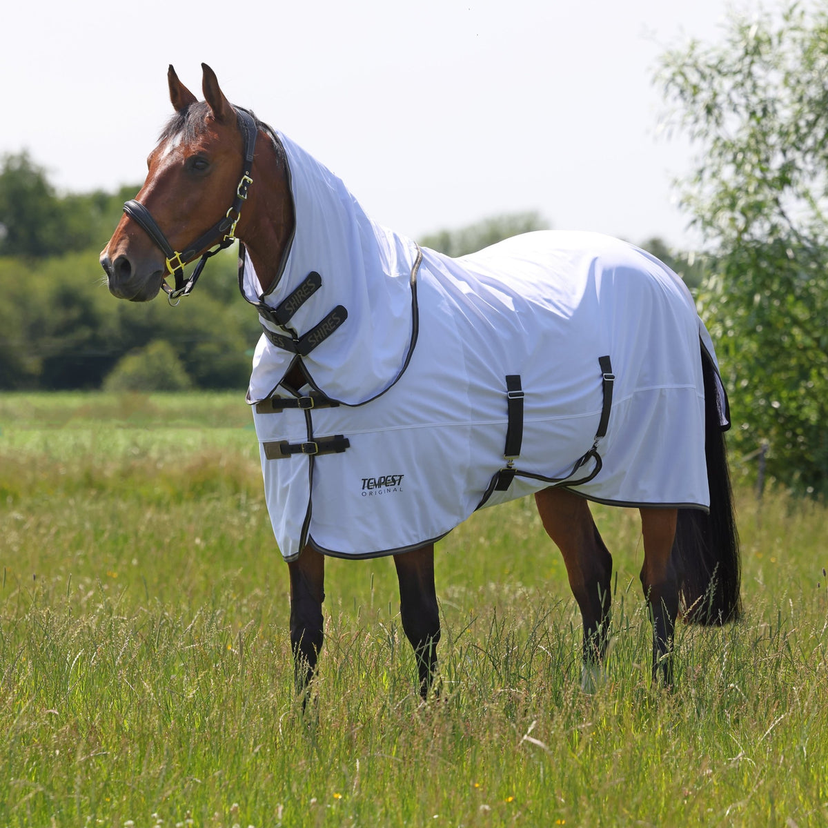 Tempest Original Fly Rug &amp; Neck Set - Nags Essentials