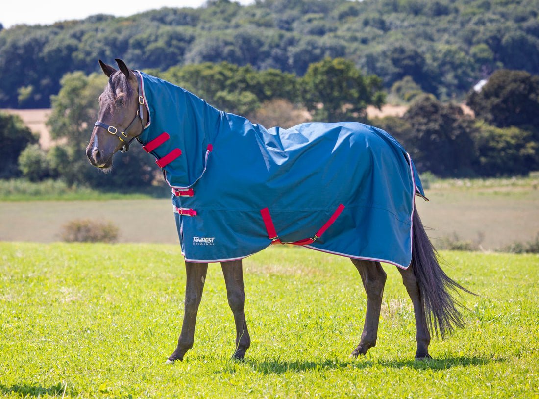 Tempest Original Lite Combo Turnout Rug - Teal - Nags Essentials