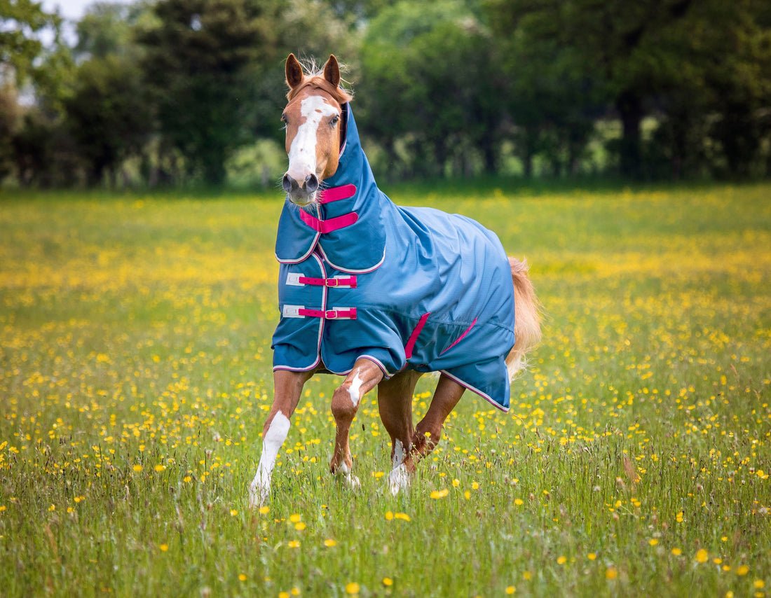 Tempest Original Lite Combo Turnout Rug - Teal - Nags Essentials