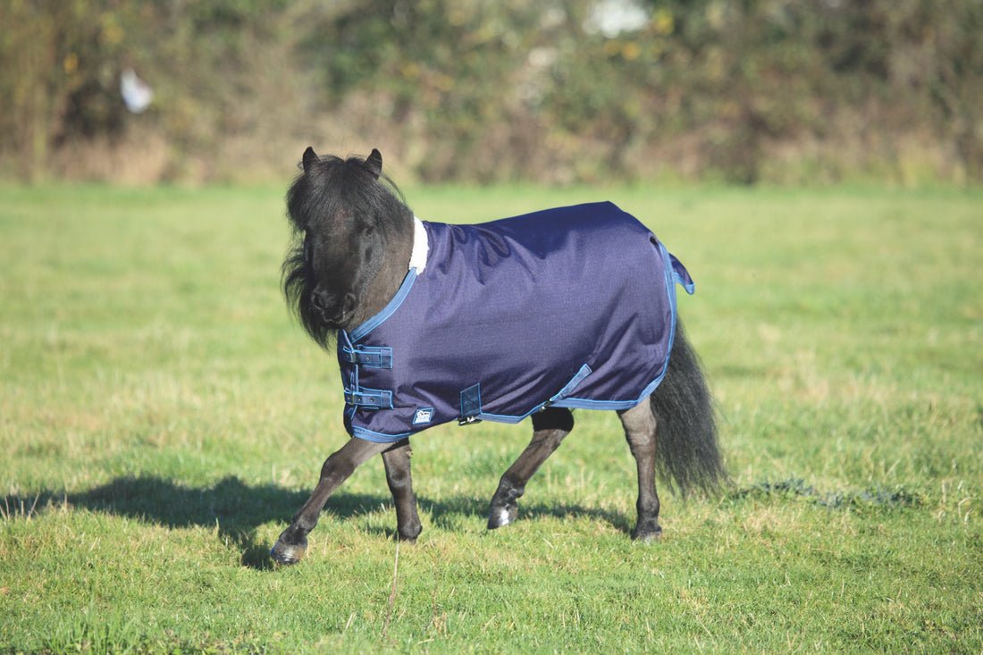 Tempest Original Lite Mini Turnout Rug - Navy - Nags Essentials