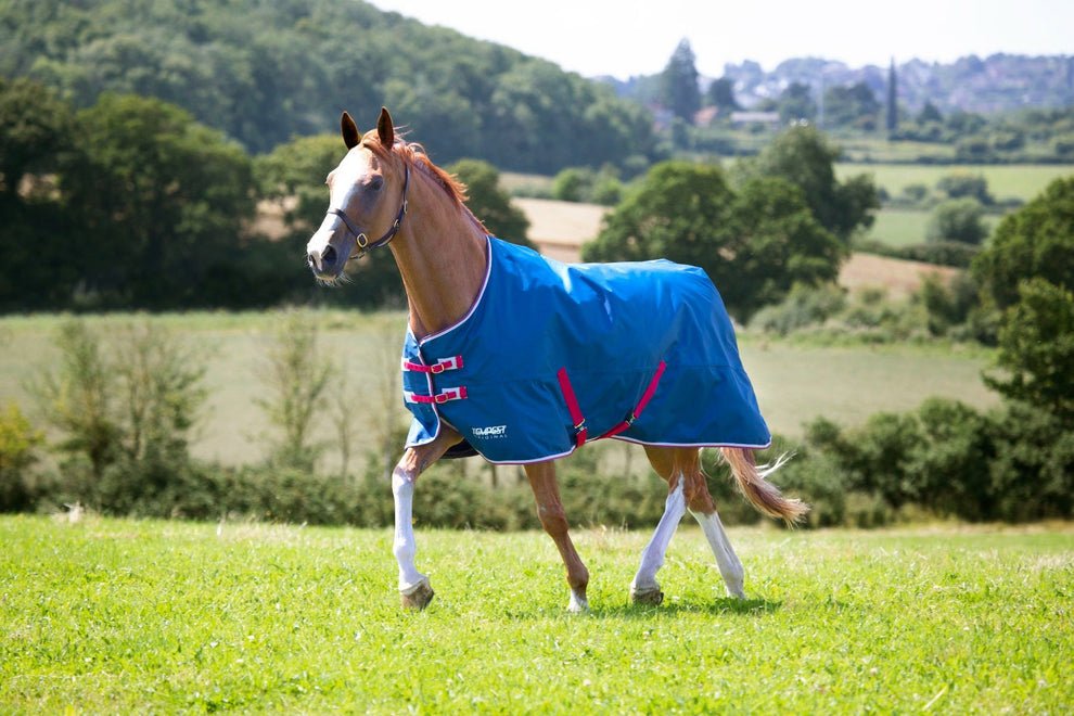 Tempest Original Lite Turnout Rug - Teal - Nags Essentials