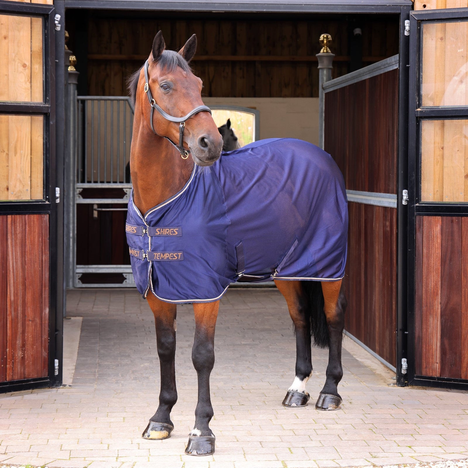 Tempest Original Mesh Cooler Rug - Nags Essentials