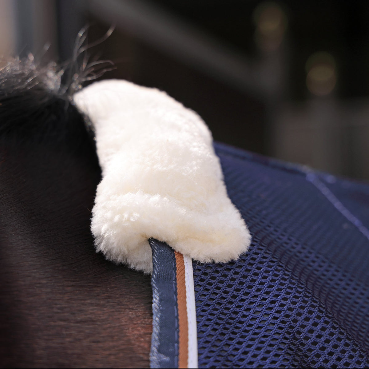 Tempest Original Mesh Cooler Rug - Nags Essentials