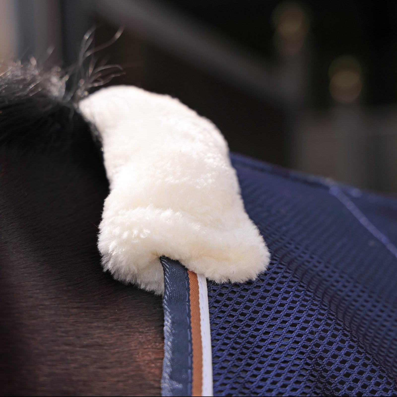 Tempest Original Mesh Cooler Rug - Nags Essentials