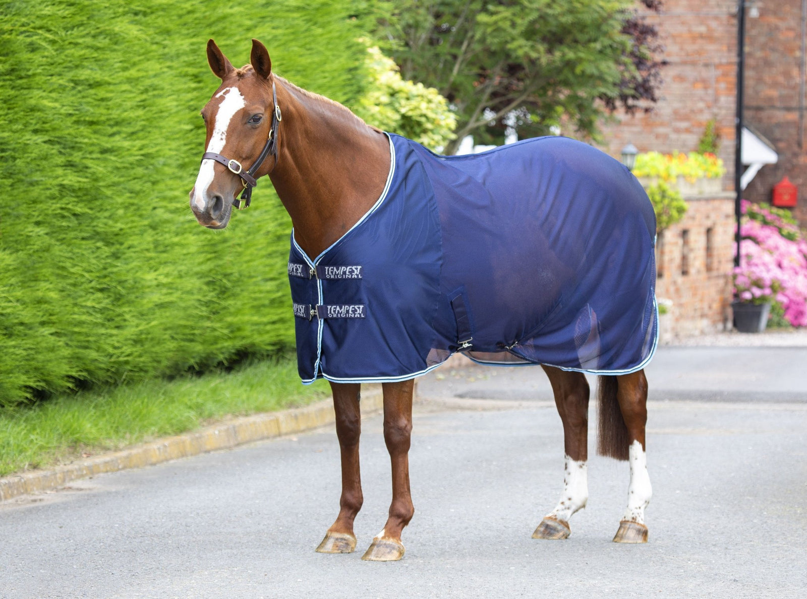 Tempest Original Mesh Cooler Rug - Nags Essentials