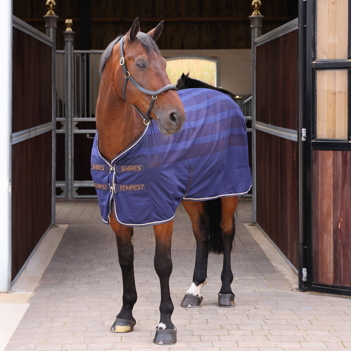 Tempest Original Scrim Cooler Rug - Ink - Nags Essentials
