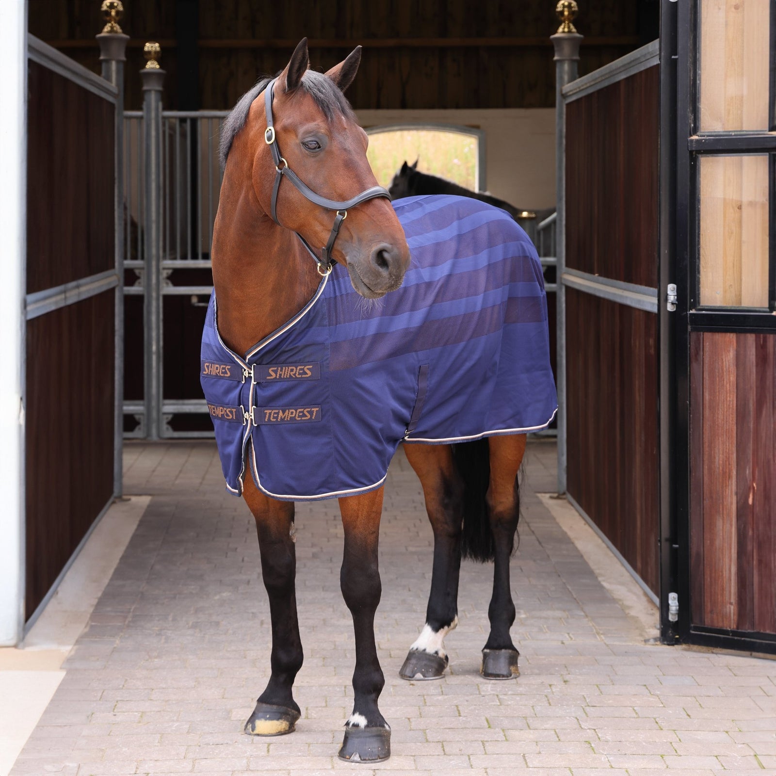 Tempest Original Scrim Cooler Rug - Ink - Nags Essentials