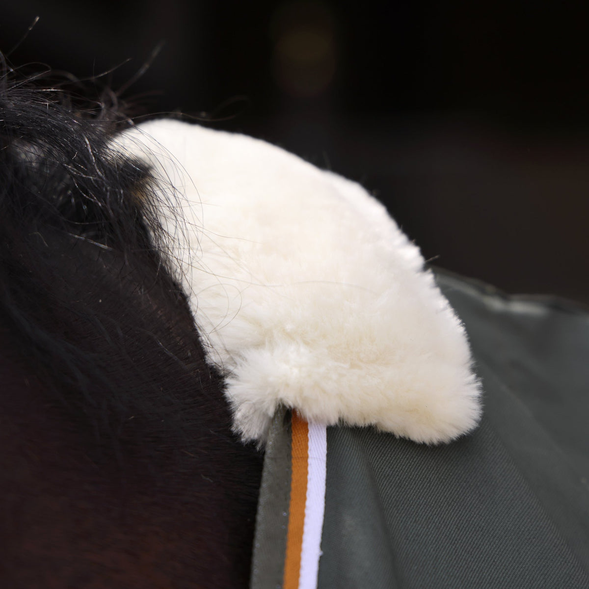Tempest Original Stable Sheet - Nags Essentials