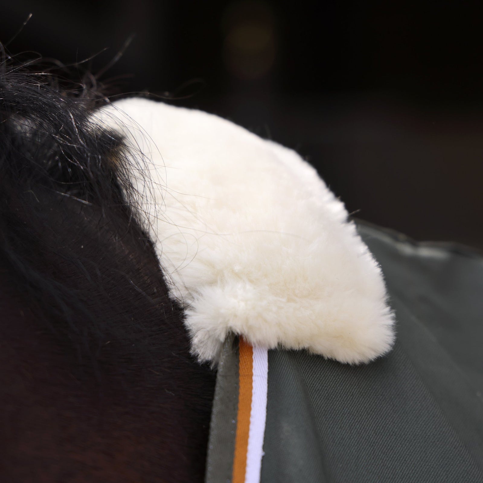 Tempest Original Stable Sheet - Nags Essentials
