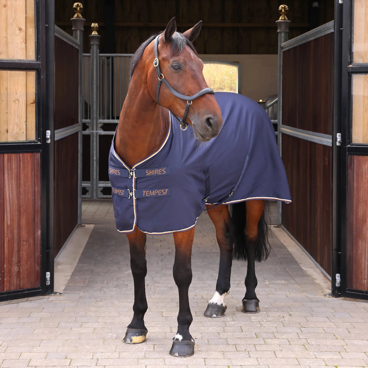 Tempest Original Stable Sheet - Nags Essentials