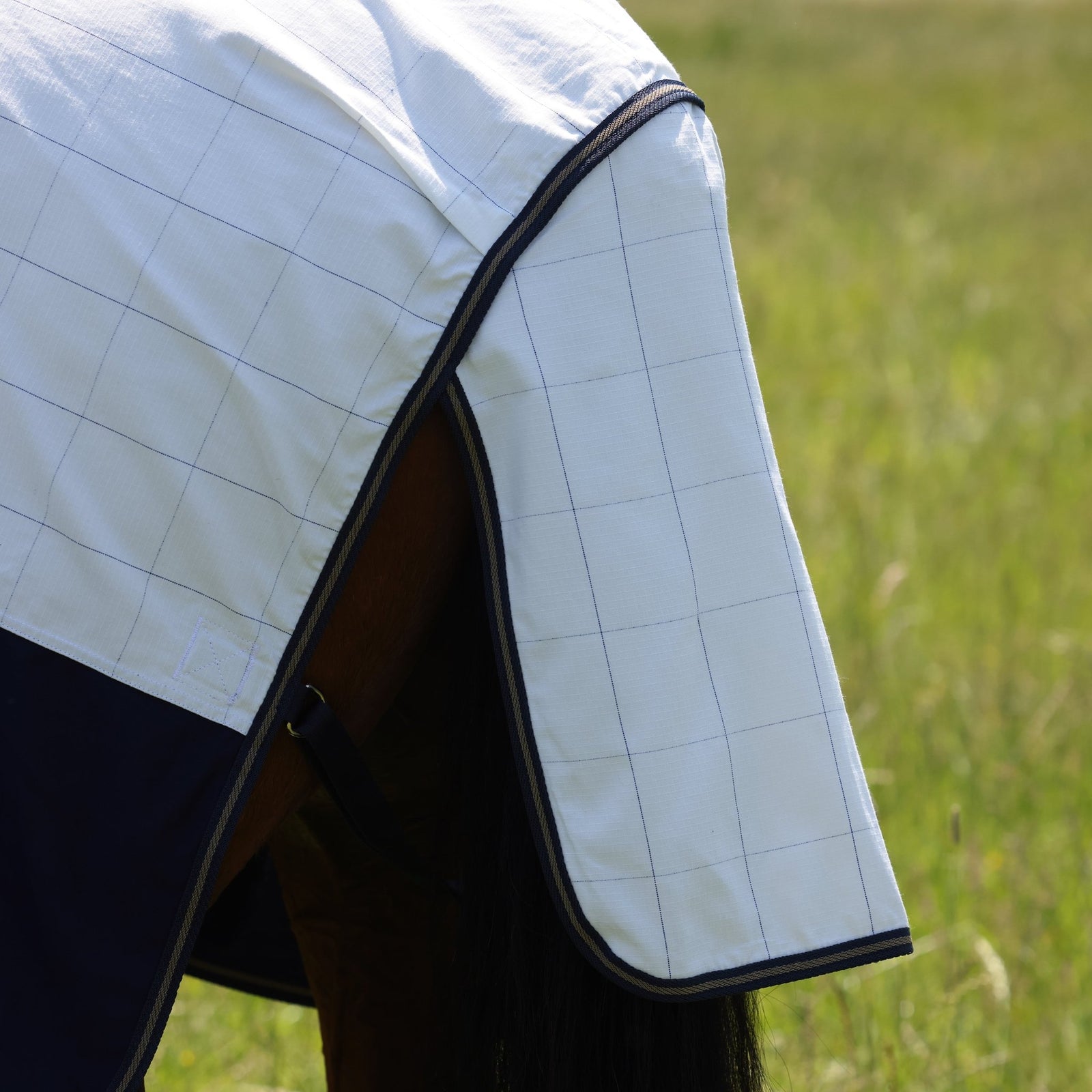 Tempest Original Summer Shield with Mesh - Nags Essentials