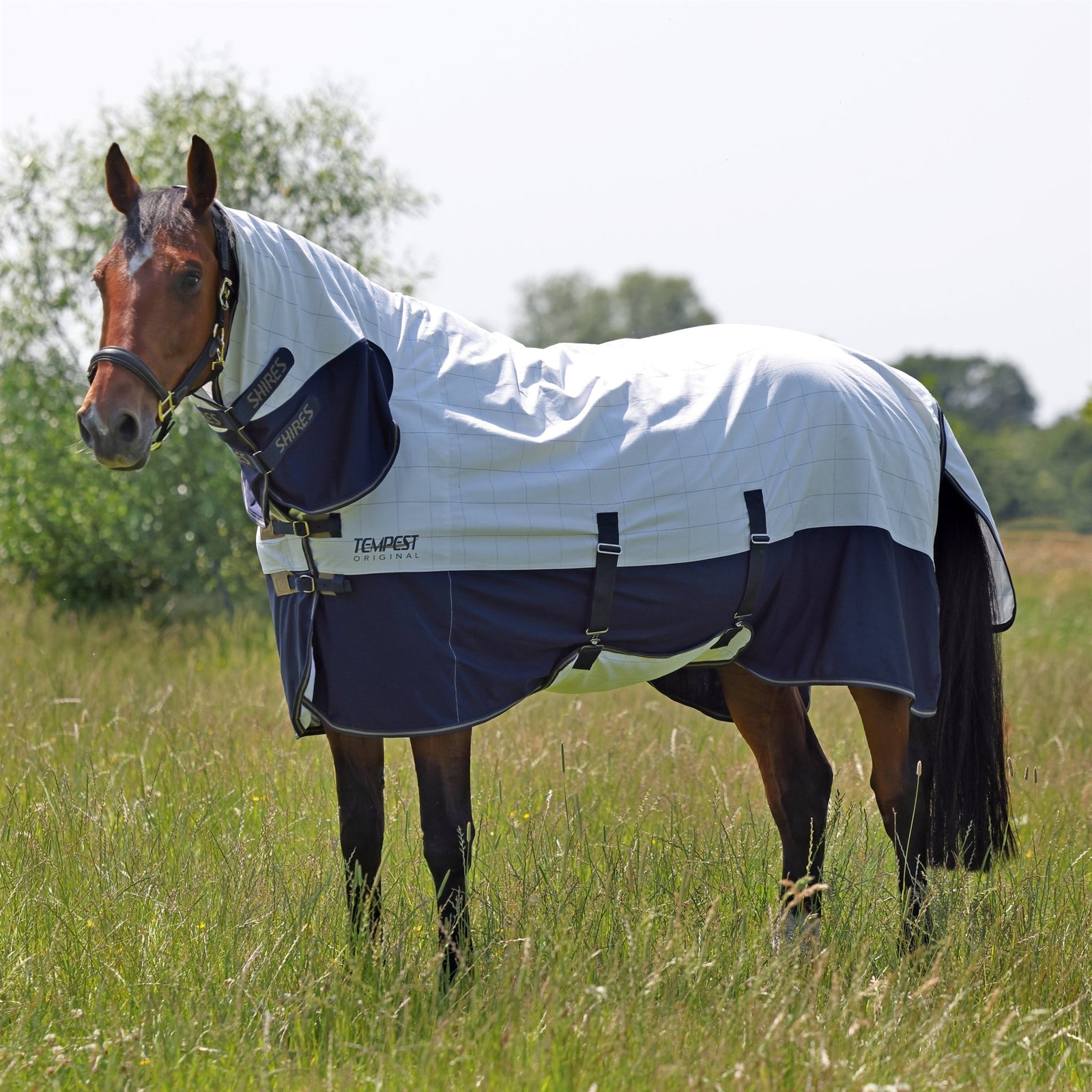 Tempest Original Summer Shield with Mesh - Nags Essentials