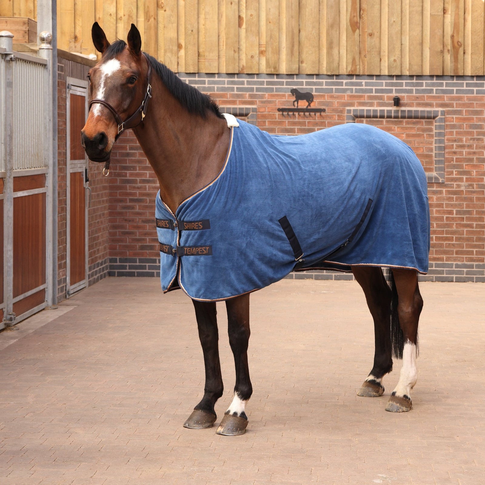 Tempest Original Ultra Drying Rug - Navy - Nags Essentials