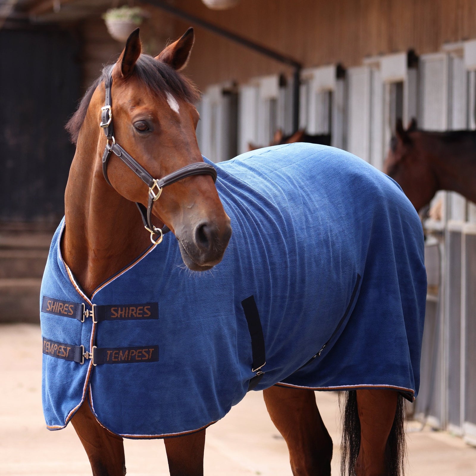 Tempest Original Ultra Drying Rug - Navy - Nags Essentials