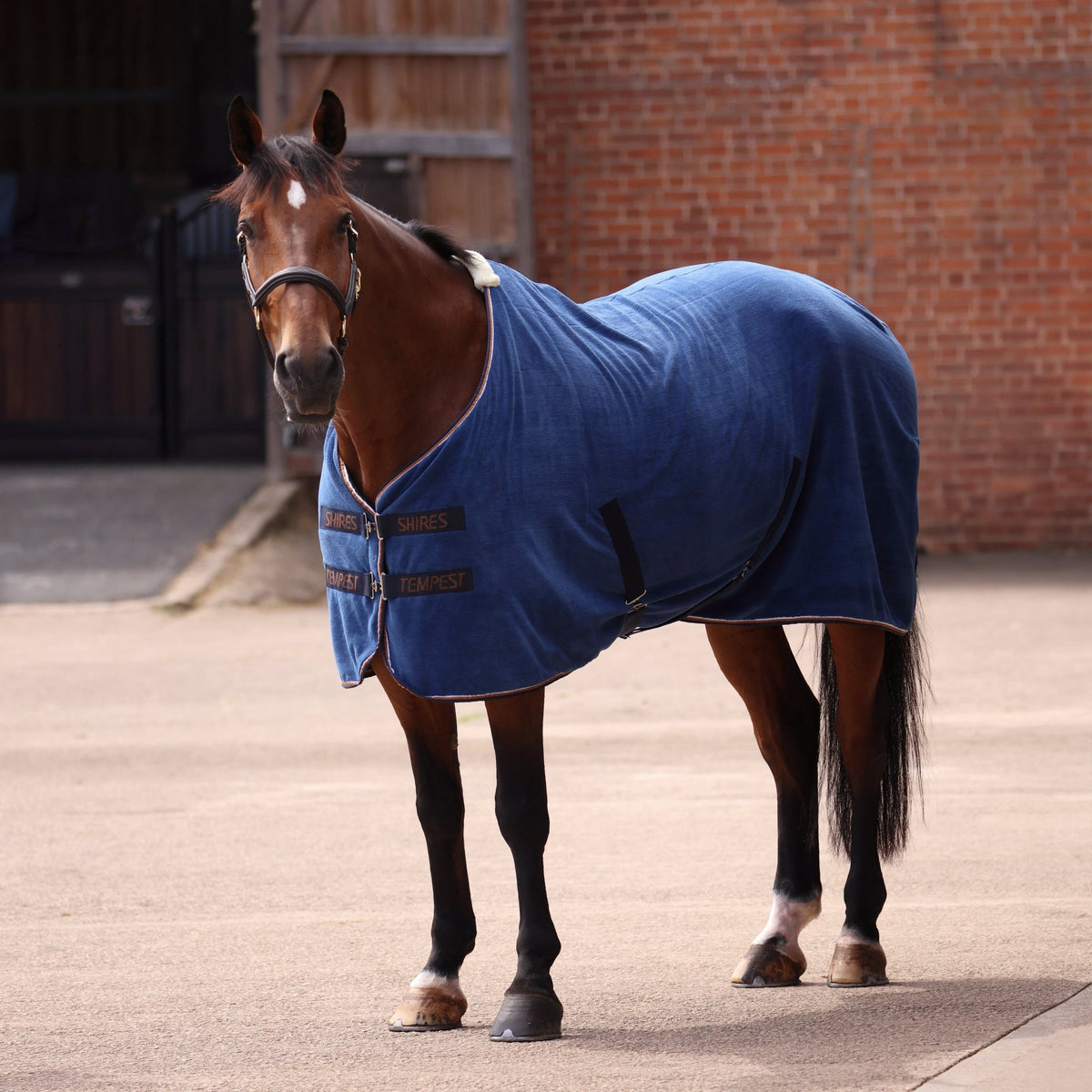 Tempest Original Ultra Drying Rug - Navy - Nags Essentials