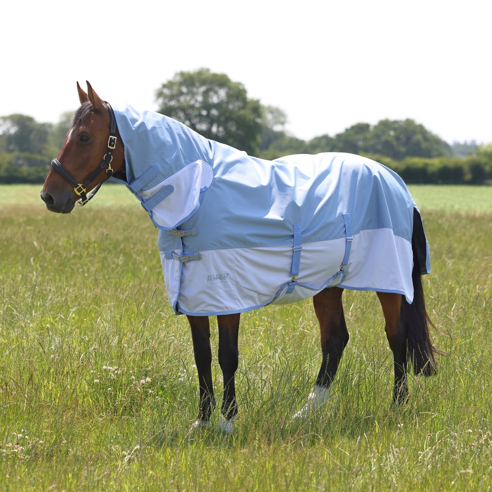 Tempest Original Waterproof Fly Rug - Nags Essentials
