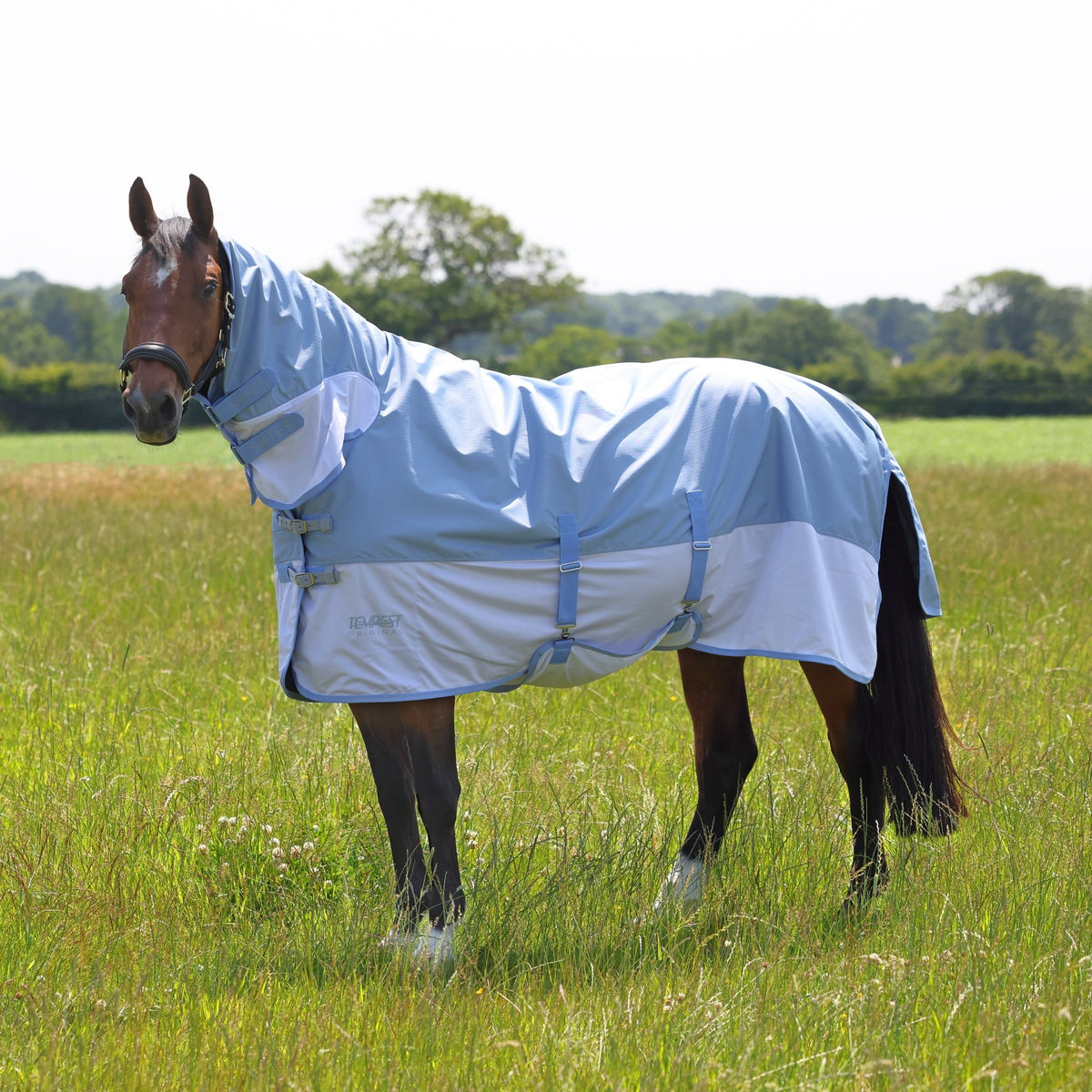 Tempest Original Waterproof Fly Rug - Nags Essentials