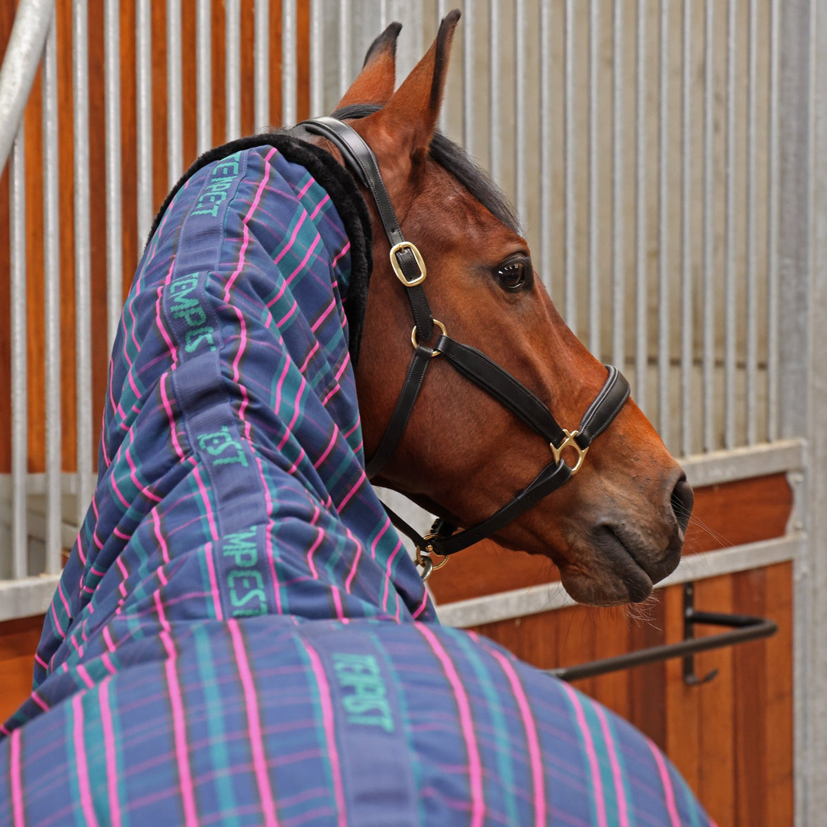 Tempest Plus 100 Combo Stable Rug - Navy Tartan - Nags Essentials