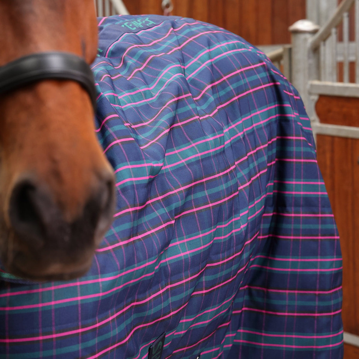 Tempest Plus 100 Combo Stable Rug - Navy Tartan - Nags Essentials
