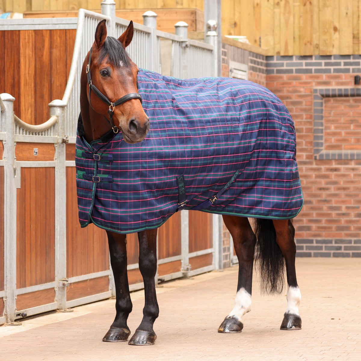 Tempest Plus 100 Stable Rug - Navy Tartan - Nags Essentials