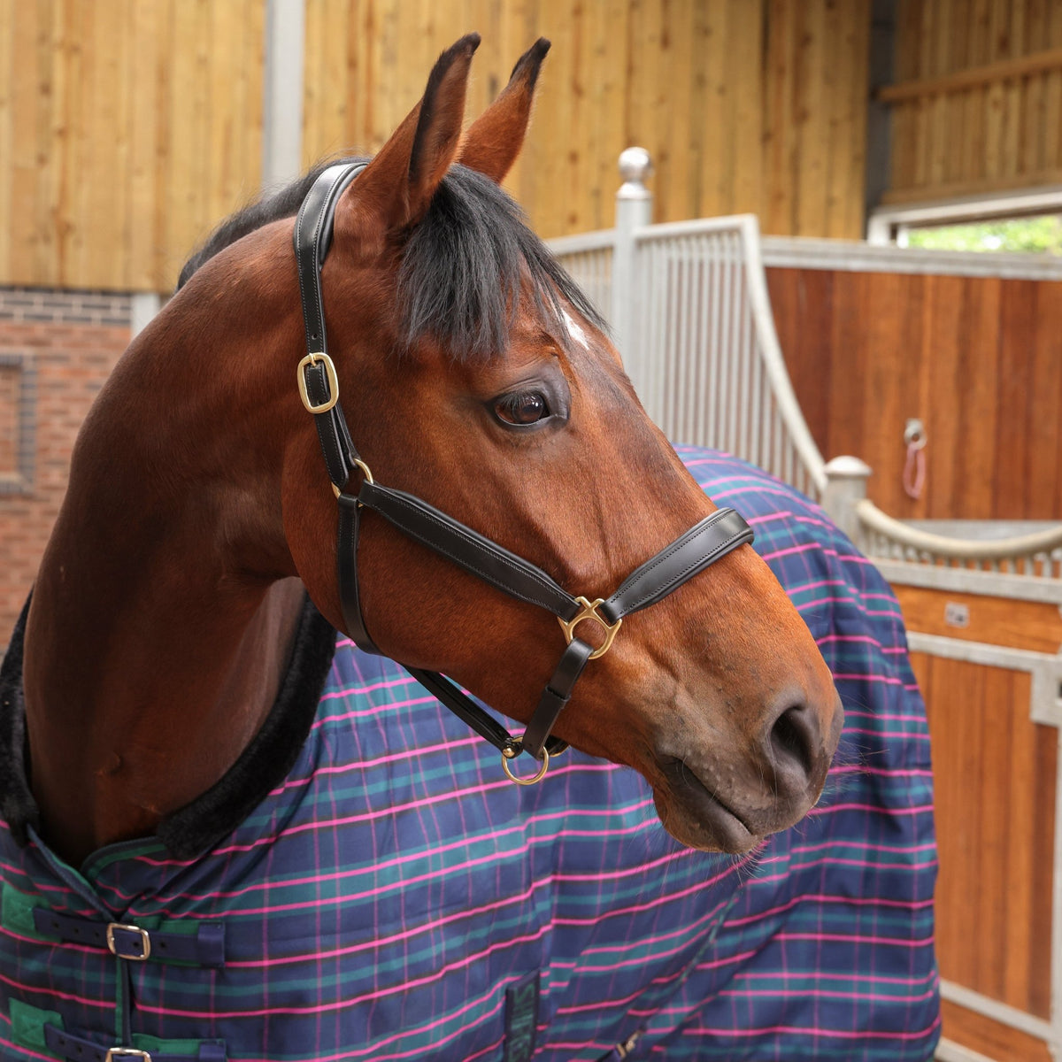 Tempest Plus 100 Stable Rug - Navy Tartan - Nags Essentials