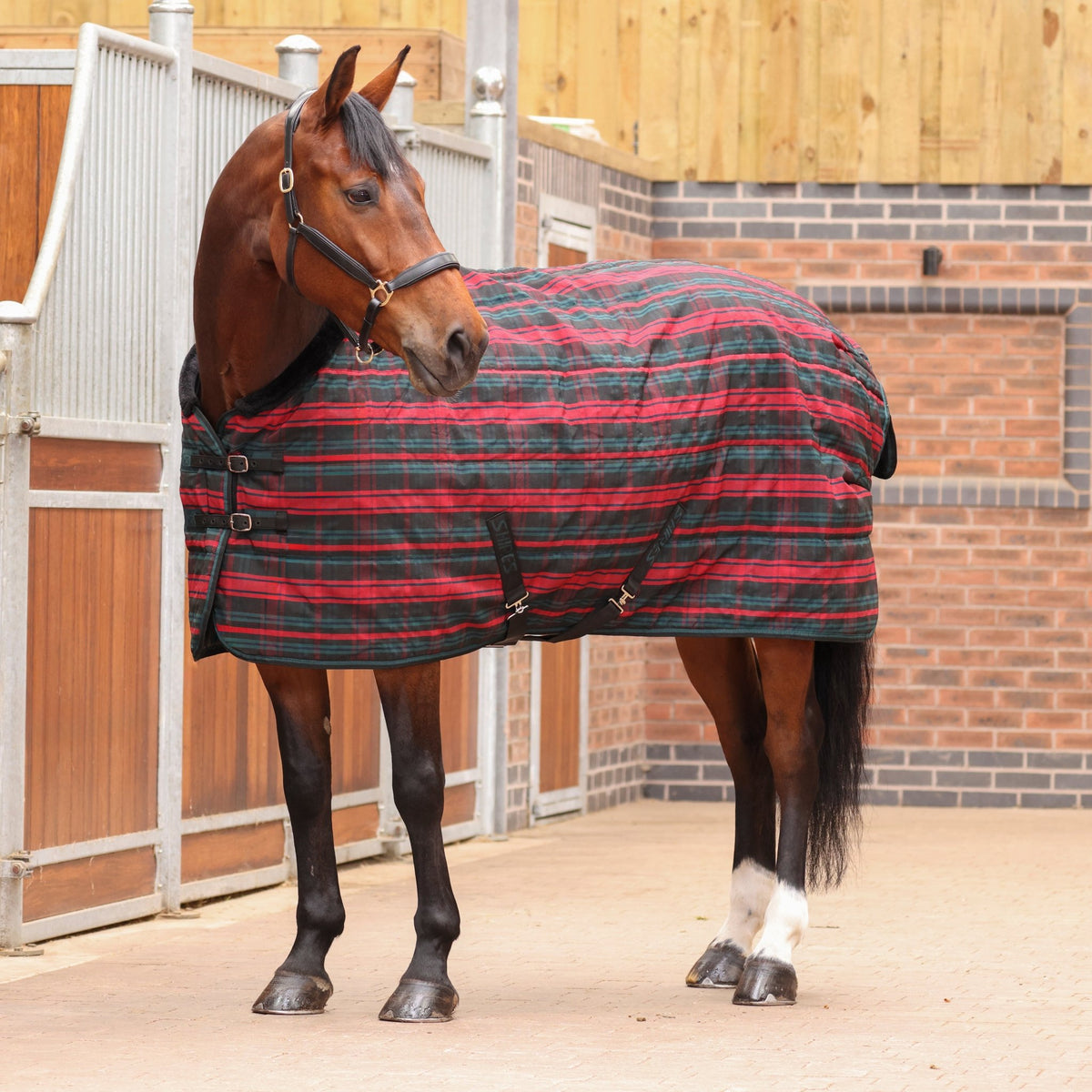 Tempest Plus 200 Stable Rug - Red Tartan - Nags Essentials
