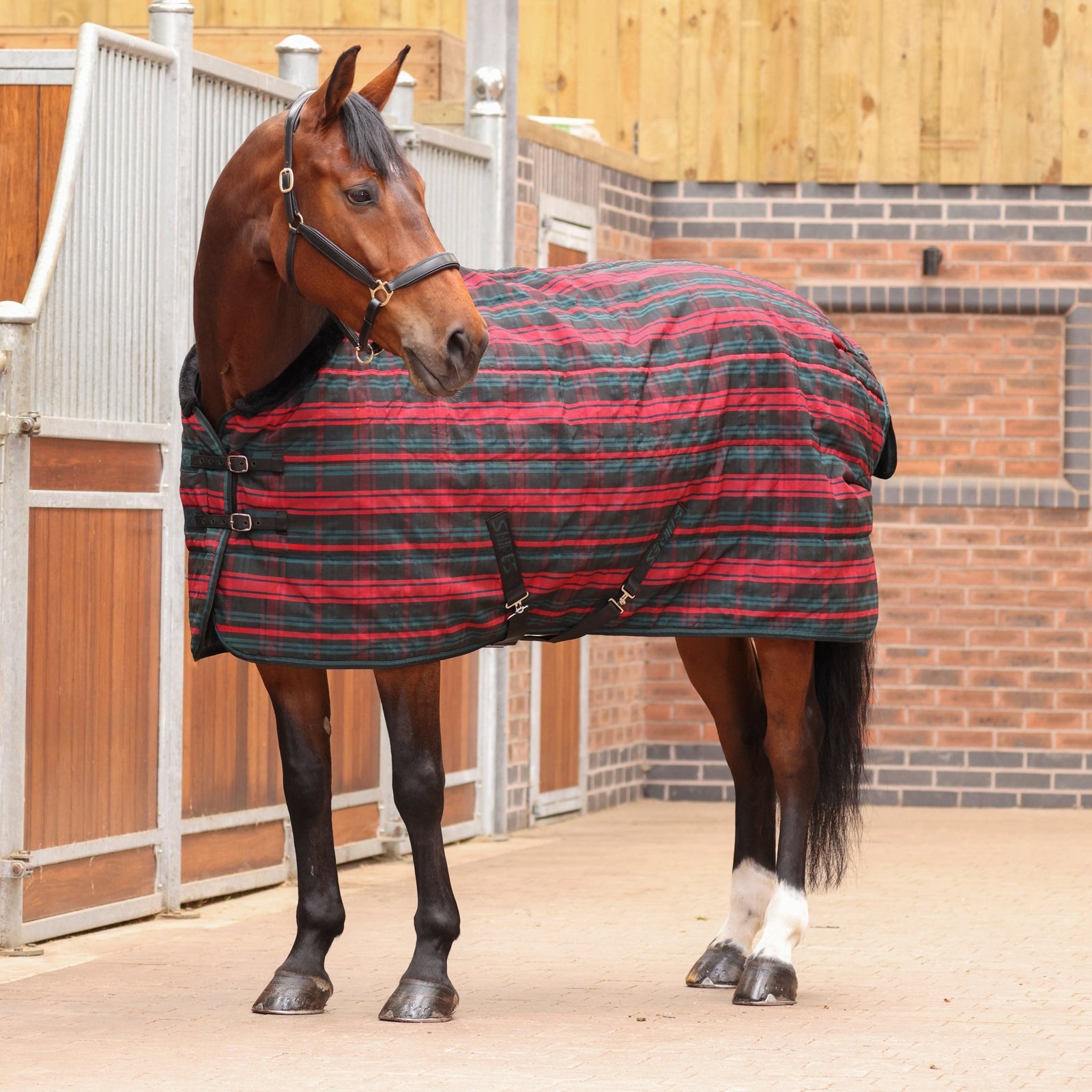 Tempest Plus 200 Stable Rug - Red Tartan - Nags Essentials