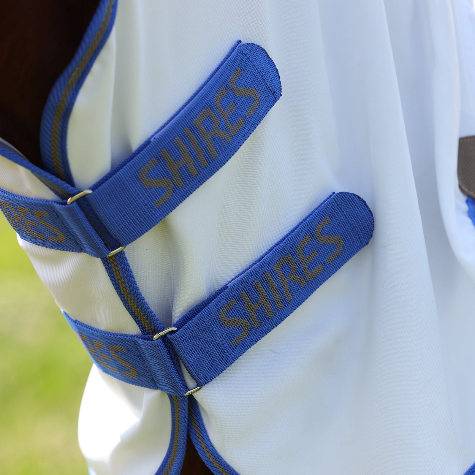 Tempest Plus Sweet - itch Combo Rug - Nags Essentials