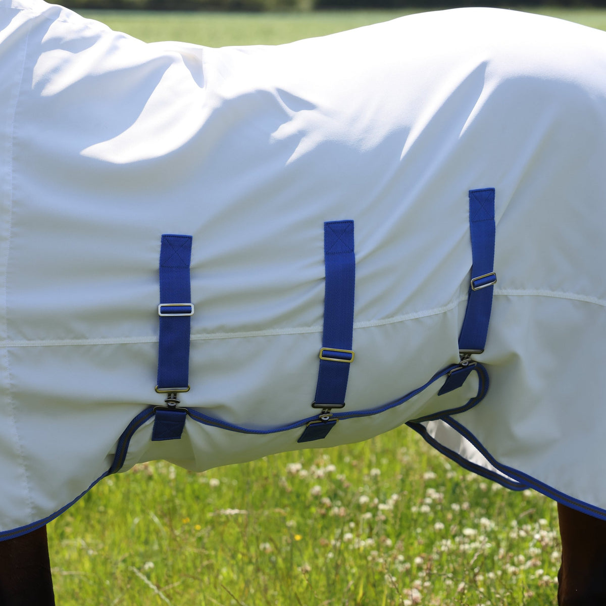 Tempest Plus Sweet - itch Combo Rug - Nags Essentials