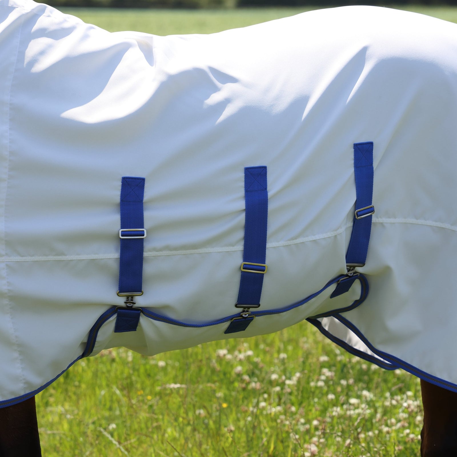 Tempest Plus Sweet - itch Combo Rug - Nags Essentials