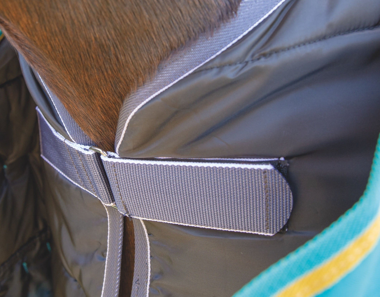 Tempest WarmaRug 100 Turnout Rug Liner - Black - Nags Essentials