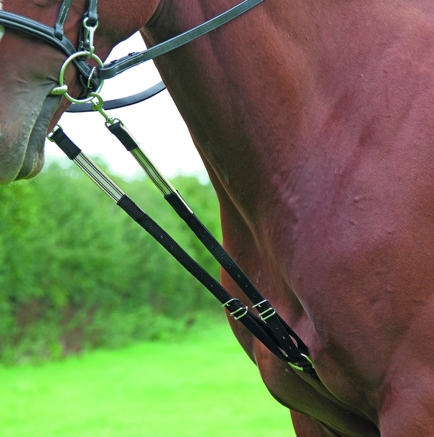 The Original Harbridge Training Aid - Black - Nags Essentials