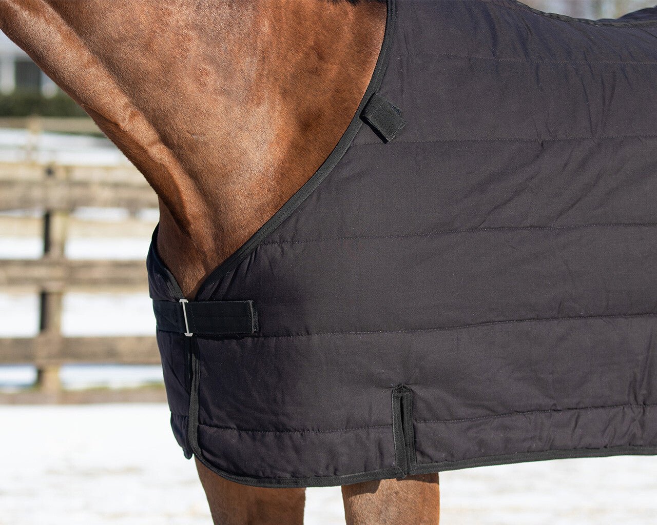 Turnout Combo Set/ Under Rug + Neck 200g - Black - Nags Essentials