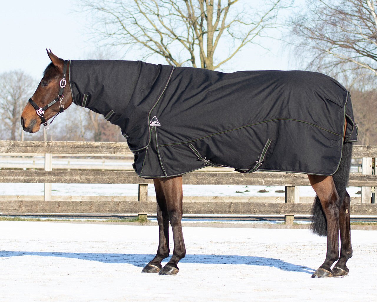 Turnout Combo Set/ Under Rug + Neck 200g - Black - Nags Essentials