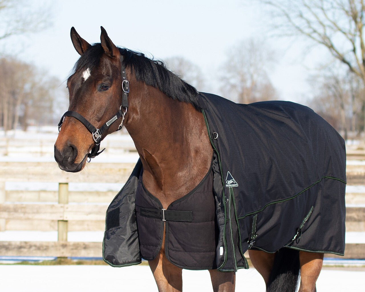 Turnout Combo Set/ Under Rug + Neck 200g - Black - Nags Essentials