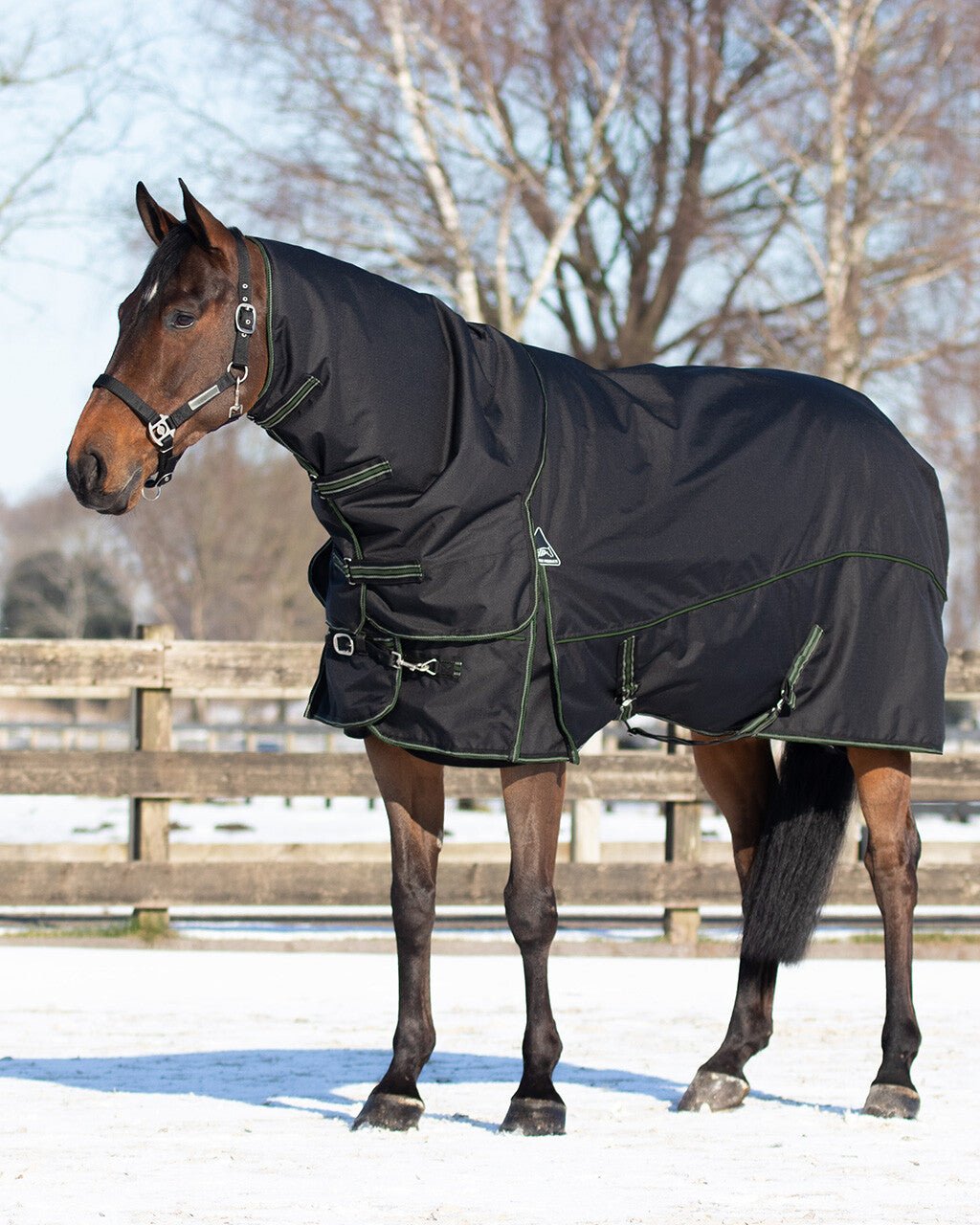 Turnout Combo Set/ Under Rug + Neck 200g - Black - Nags Essentials