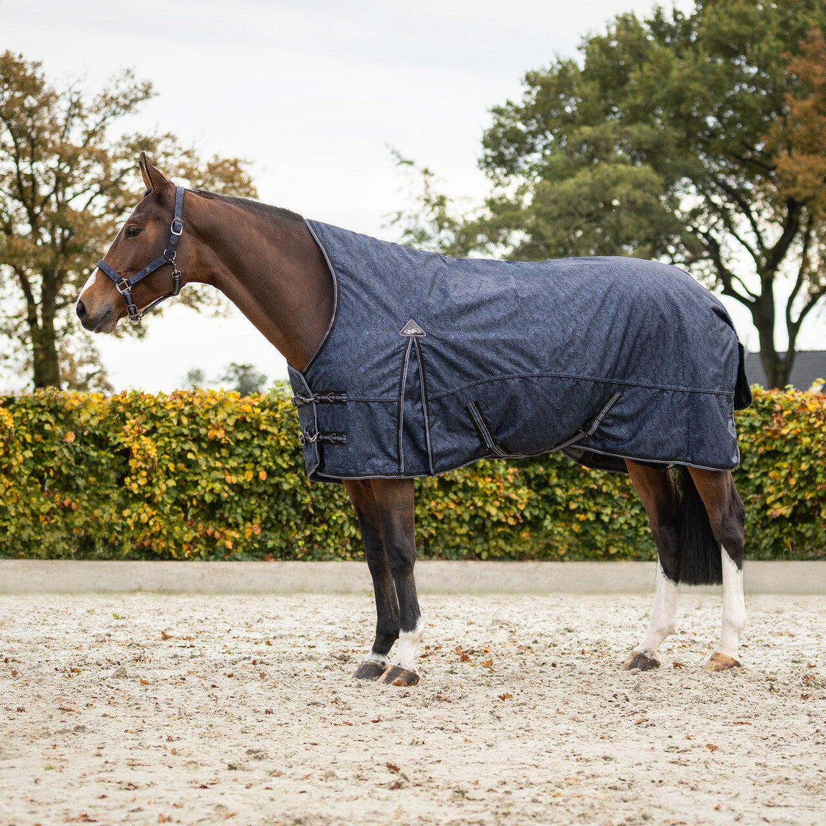 Turnout Rug 1200D Collection Half Neck 150g - Nags Essentials
