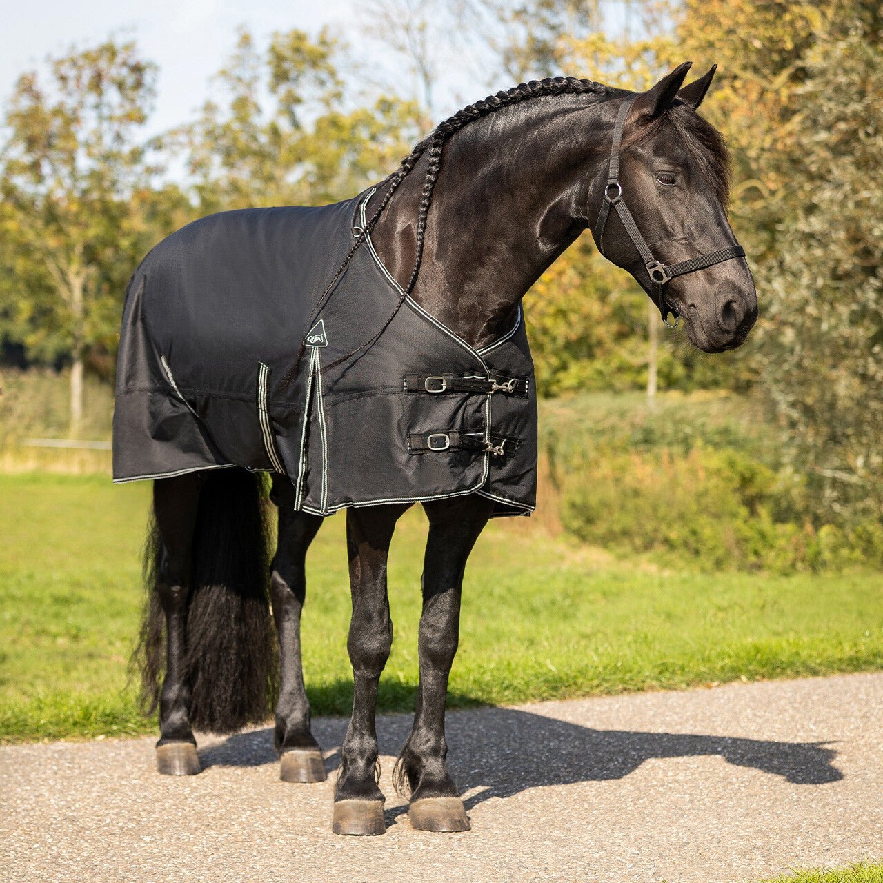 Turnout Rug Big Neck 150g - Nags Essentials