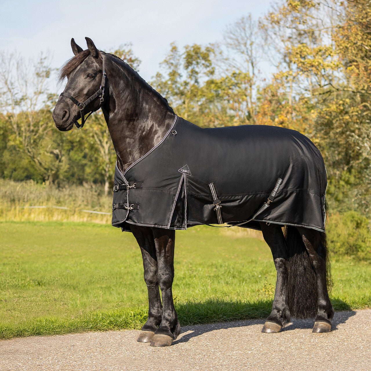 Turnout Rug Big Neck 150g - Nags Essentials