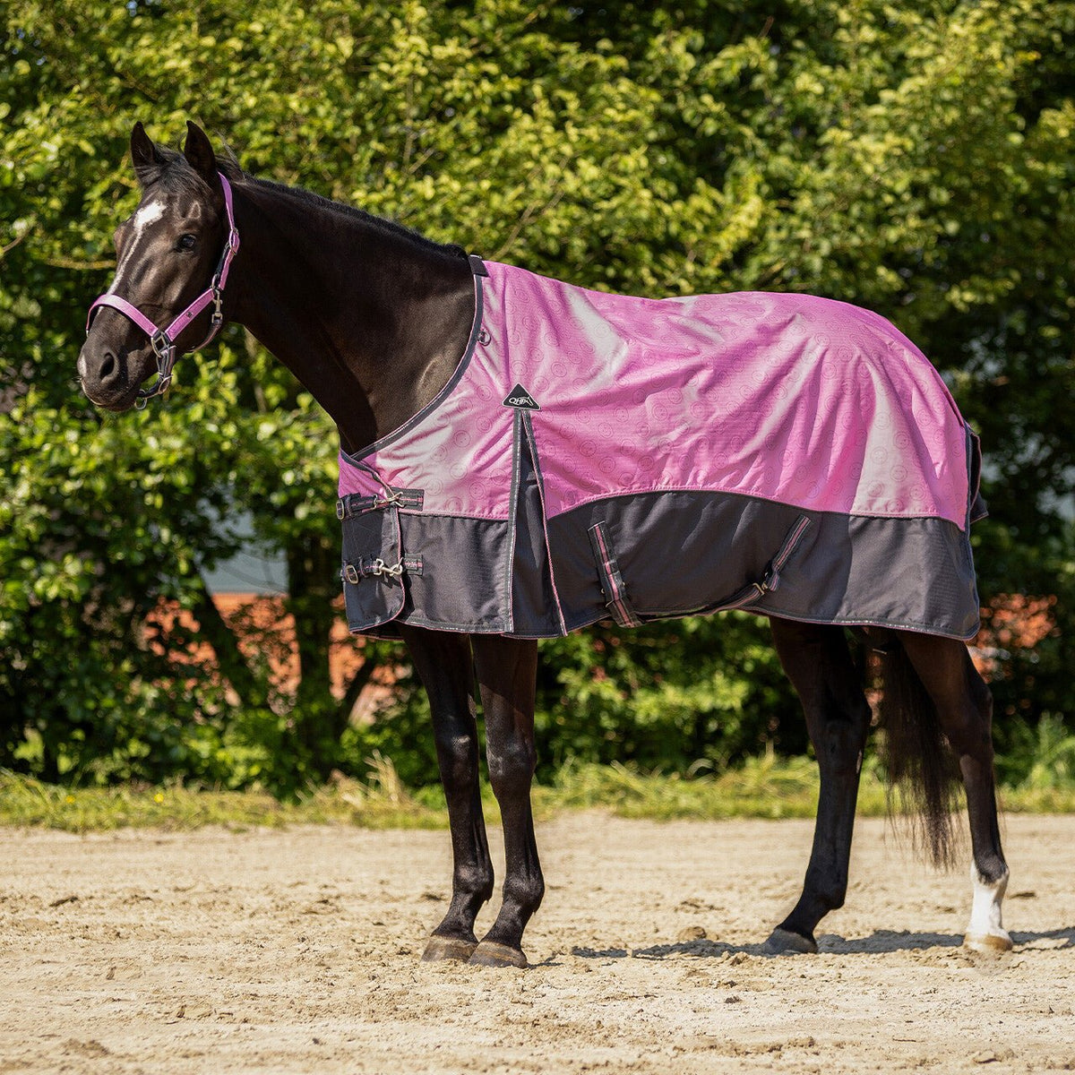 Turnout Rug Collection 0g - Nags Essentials